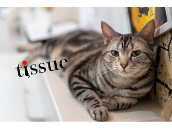 tissue　猫と漫画とアニメサロン