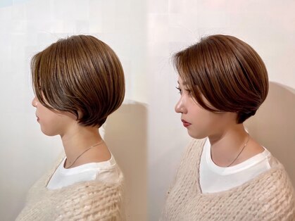 ウォーターリリー(Water Lily)の写真