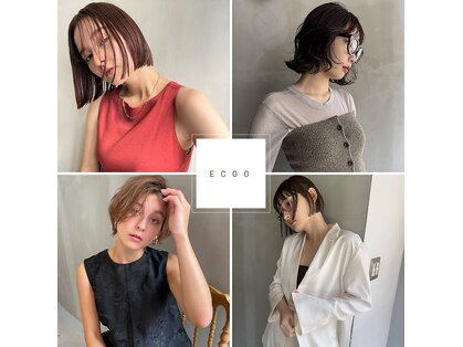 エクー(ECOO)の写真