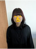 ウルフレイヤー