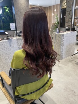 ポラリス(Polaris) 暖色系カラー　ピンクカラー