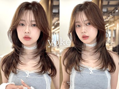 ヨーク(yoke)の写真