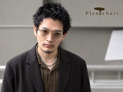 プランツヘアーの写真