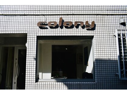 コロニー(colony)の写真