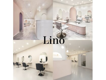 リノ(Lino)の写真