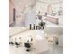 リノ(Lino)の写真