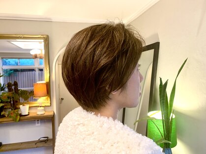 アゴラ ボーテ(Agora Beaute)の写真