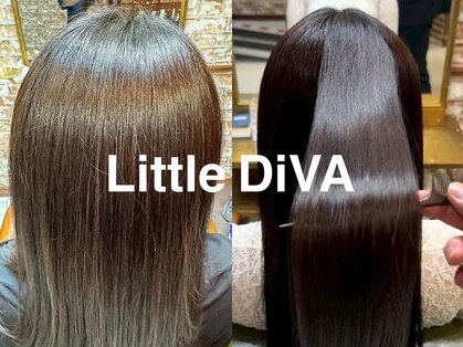 リトルディバ(Little DiVA)の写真