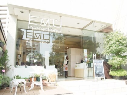 エム インターナショナル 春日部本店(EMU international)の写真