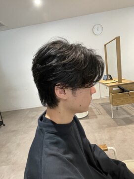 ヤテ(yate') フェザーショート