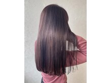 シーラ 光の森(Sea-La)