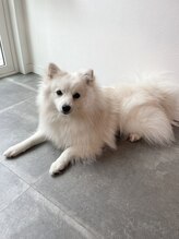 ヘアーサロン コモレビ(Komorebi.) くぅちゃん