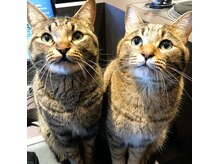 ヘアラウンジ ゼロ(Hair Lounge ZERO)の雰囲気（←アーク　　コア→）