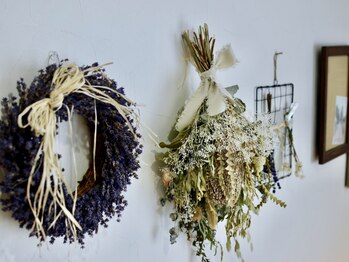 クローバー(clover)の写真/自然を感じ、想いを巡らす