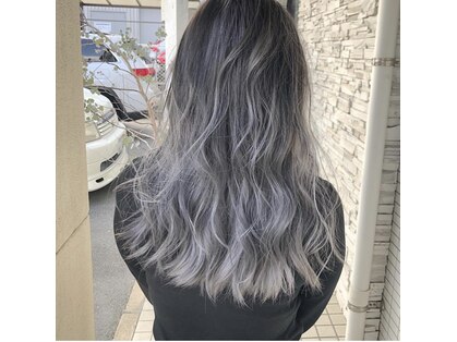 エルフ(elf)の写真