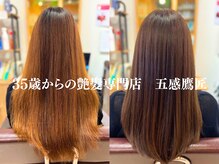 五感鷹匠 髪の診療所