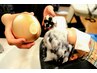 【新】クセになる吸い付きスパコース ￥6930→6000 