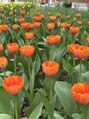 モコ(MOCO) オレンジチューリップの写真◎春色に包まれてリフレッシュ♪