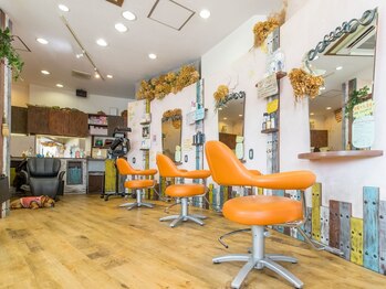 セヴィ(C Vie)の写真/【アットホームな店内でゆったりした時間を。ドライフラワー と植物のある空間で癒しの時間を。】