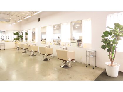 アトリエワイズ(atelier wise)の写真