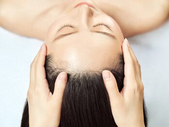 haku ~ヘッドスパ~【4月10日 NEW OPEN(予定)】の写真/気になる髪のお悩みを解消◎髪の状態を見極めた施術で、するんとまとまる扱いやすいスタイルへ♪