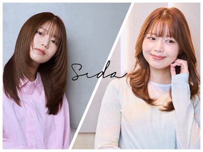 シダ(sida)の写真