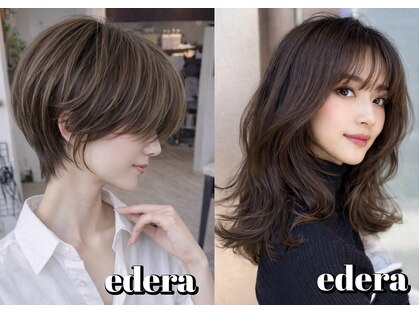 エデラ グランディ オーソ(edera Grandi-oso)の写真