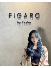 フィガロ バイ テイラー(FIGARO by Taylor)&nbsp;関崎 琴美