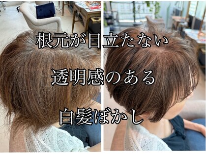 オーケストラ(Orchestra)の写真