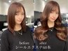 【最高級レミー毛】艶カラー&美髪シールエクステ60本(表参道)