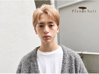 プランツヘアーの写真
