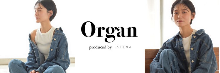 オルガン(Organ)のサロンヘッダー