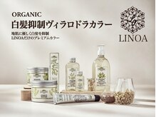 【白髪抑制ヴィラロドラカラー】白髪抑制/育毛促進/低刺激の白髪予防成分配合エイジングケアカラー