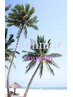 【summerクーポン】カット+髪質改善トリートメント¥11550→¥7700