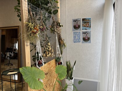 イチルノヒ(iCHIRUNOHi)の写真