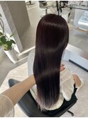 【うる艶ピンクラベンダー】