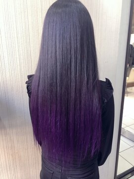 トムキャット(TOM CAT) 【新宿TOMCAT】パープルグラデーション