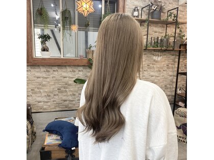 リル(lilu)の写真