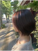 ボタニカルカラーやノンジアミンカラーを♪