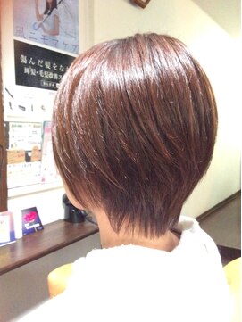 ドルセット ショート