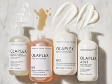 エレファントノーズの雰囲気（話題の《OLAPLEX-オラプレックス-》配合ケアカラー♪）