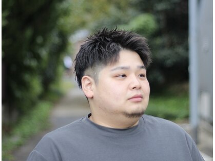 ヴェン(ven)の写真