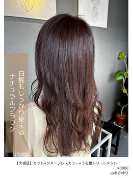 アイリス(IRIS) 艶あり白髪もしっかり染まるナチュラルブラウン