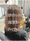 白髪染ぼかし特化salon!白髪ぼかしハイライトシナモンベージュ