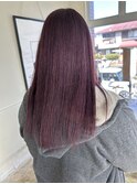 ピンクラベンダー