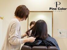 パインカラー(Pine Color)
