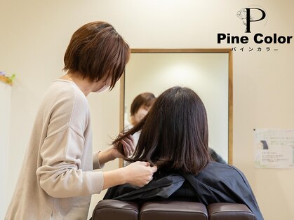パインカラー(Pine Color)の写真