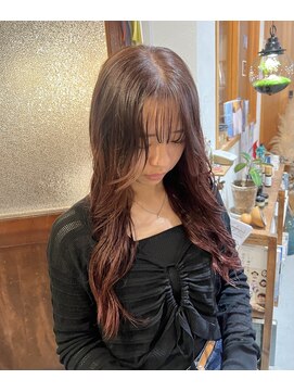 ラベナラ(RAVENALA) グラデーションカラー