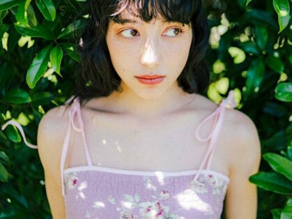 アスター(astar)の写真