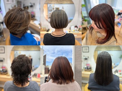 ペリ(peri)の写真